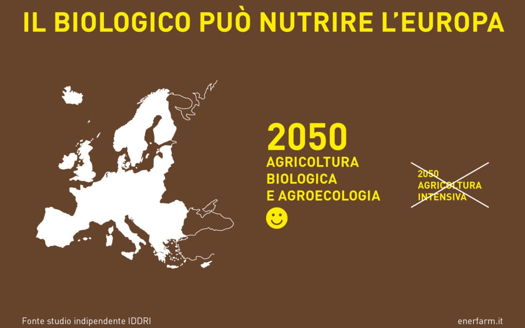 Il biologico può nutrire l’Europa